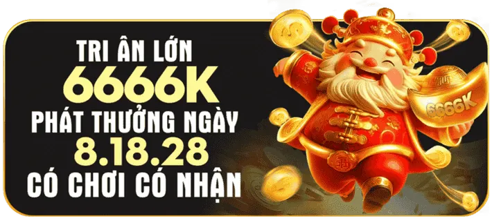 Giấy phép hoạt động